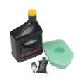 Briggs and Stratton 5107B Maintenance Kit