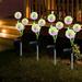Solarera Upgraded Solar Dandelion Garden Lights 4 Pack Solar Dandelion Decorative with 36 LED and 2 Working Modes Waterproof Colorful Solar Lights Outdoor for Yard Lawn Pathway Decor