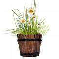 Wooden Barrel Planter-2 of Wooden Barrel Garden planters Plants with Drainage Holes for Indoor and Home Decoration Indoor and Outdoor use Antique Decorative Flower Pot