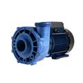 1 Speed 2 HP 48F 230V Spa Pump with 8 ft. Amp Cord