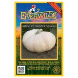 Everwilde Farms - 10 Amish Pie Winter Squash Seeds - Gold Vault Jumbo Bulk Seed Packet