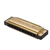 Key of C Diatonic Harmonica Mouthorgan with ABS Reeds Mirror Surface Design 10 Holes Blues Harmonica Perfect for Beginners Professional Students Kid Gold