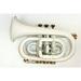 POCKET TRUMPET Bb PITCH FULL WHITE COLOR WITH CASE & MOUTHPIECE NICELY TUNED-78 SALE PERCENTAGE ON