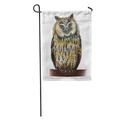 SIDONKU Brown Barn Eared Owl Drawing Longed Red Beautiful Bird Hunter Garden Flag Decorative Flag House Banner 28x40 inch