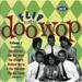Various Artists - Flip Doo Wop 1 / Various - Rock N Roll Oldies - CD