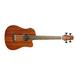 Gold Tone MicroBass Short-Scale Acoustic Electric Bass