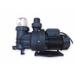 Spa Bath & Fountain Centrifugal Pump 4HP 4/10HP 115V 300W 120V 60Hz 3.0Amps