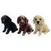 Michael Carr Designs MCD80104MIXA Mcarr Small Lab Puppies Mix 2 of Each Color - 6 Piece