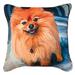 Woven Textile Company 18 Blue and Brown Pomeranian Outdoor Patio Square Throw Pillow