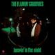 The Flamin Groovies - Jumpin In The Night [Limited 180-Gram Translucent Green Colored Vinyl]