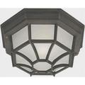 Forte Lighting 17005-01 1 Light Outdoor Flush Mount - Painted Rust