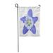 LADDKE Blue Columbine Purple Aquilegia Flower Pink Closeup White Alpine Garden Flag Decorative Flag House Banner 12x18 inch