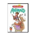 Baby s First Impressions: Animals DVD