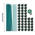 40PCS Orchid Clips Plastic Garden Plant Clips with 40 Pieces Green Bamboo Plant Stakes 20 Pieces Metallic Twist Ties for Supporting Stems Vines Stalks Grow Upright