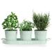 Barnyard Designs Farmhouse Herb Garden Planter Indoor Planter Set with Tray or Outdoor Apartment Window Planter Box Windowsill Planter Box Indoor Herb Planter Garden Pots Herb Pots Mint Set/3