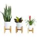 Manunclaims Modern Mini Plant Stand 1Pcs Creativity Indoor Free Standing Home Decor Flower Pot Holder Display Wood Potted Rack Prevent The Floor Wet Not Include Ceramic Planter Pot