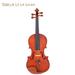 Hassch Gv101 4/4 Acoustic Matt Violin Case Bow Rosin Strings Shoulder Rest Tuner Natural