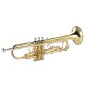 ammoon Trumpet Bb Flat Brass Gold-painted Exquisite Durable Musical Instrument with Mouthpiece Gloves Strap Case