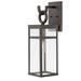 1 Light Medium Outdoor Wall Lantern in Transitional Style 6.5 inches Wide By 22 inches High-Oil Rubbed Bronze Finish-Led Lamping Type Bailey Street