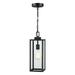 Matte Black Outdoor Lighting Hanging Lantern Pendant Light with Clear Glass for Porch Balcony Patio House