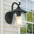 LNC 1-Light Farmhouse Sand Black and Seeded Glass Outdoor Wall Sconce Lighting Fixture