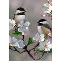 Toland Home Garden Birds and Blossoms Garden Flag