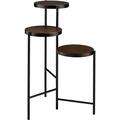 Bowery Hill Modern Plant Stand in Walnut and Black