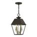 Livex Lighting - Wentworth - 2 Light Medium Outdoor Pendant In Classic Style-15