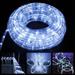 20 Ft Landscape LED Rope Lights with Remote for Halloween Christmas Indoor/Outdoor Wedding Party Garden Patio Decor 4 Modes - White