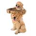 Garden Birds Bath Dog Birdfeeder Resin Landscape Statue for Yard Garden Decorations