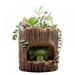 Cute Plants Pot Flower Sedum Succulent Pot Planter Bonsai Trough Box Plant Bed Office Home Garden Pot Decoration