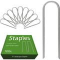 AAGUT Garden Staples 6 Inch Galvanized 100 Pack Round-Top Drip Hose Stakes Irrigation Hooks Heavy Duty 11 Gauge Lawn U Pins Sod Nails for Landscape Fabric Soaker Hose Chicken Wire