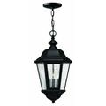 3 Light Large Outdoor Hanging Lantern in Traditional Style 10 inches Wide By 19.5 inches High-Black Finish-Incandescent Lamping Type Bailey Street