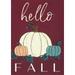 Toland Home Garden Hello Fall Gourds Pumpkin Fall Flag Double Sided 28x40 Inch