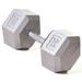 Champion Hex Dumbbell with Ergo Handle 95-Pound