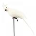 Forzero 9.84 inch White Artificial Macaw Parrot Feather Bird for Modern Home Garden Zoo Ornament Decoration