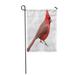 LADDKE Red Avian Bright Crimson Northern Cardinal Backyard Birds Birding Garden Flag Decorative Flag House Banner 28x40 inch