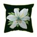 Betsy Drake 22 x 22 in. Casablanca Lily - Black Background Zippered Indoor & Outdoor Pillow Extra Large