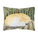 Carolines Treasures SS8760PW1216 Golden Retriever Indoor & Outdoor Decorative Fabric Pillow - 12 x 16 in.