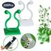 100Pcs Plant Climbing Invisible Wall Fixture Clips Wall Vines Plant Fixer Self-Adhesive Sticky Hook Vines Fixing Clip Vines Holder L Green