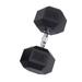 Rubber Hex Dumbbell