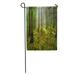 SIDONKU Spruce Tree Forest Sunbeams Through Fog Illuminating Moss and Fern Garden Flag Decorative Flag House Banner 28x40 inch