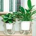 Cheers.US Self Watering Planter Pots Decorative Planter Flower Pot for Indoor House Plants