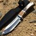 9.5 Hunting Knife Silver Stainless Steel Brown Wood Handle with Sheath