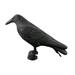 Stamens Crafts Simulation Black Crow Decoy Shooting Hunting Decoy Plastic Landscape Garden Decoration