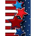 Toland Home Garden Star Spangled 4th of July Patriotic Flag Double Sided 28x40 Inch