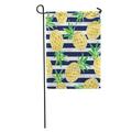 LADDKE Tropical Cartoon Pineapple Cute Summer Pattern Fruit Stripe Baby Girls Garden Flag Decorative Flag House Banner 12x18 inch