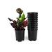 4 Inch Nursery Pot Plastic Planters for Outdoor Indoor Plants Gardening Flower Pots 10-Pack 0.25 Gallon Plant Pots with Drainage Holes
