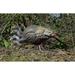 Higdon XS TruFeeder Turkey Hen Motion Decoy