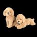 MyBeauty Realistic Poodle Dog Puppy Animal Soft Stuffed Doll Sofa Couch Decor Kids Toy